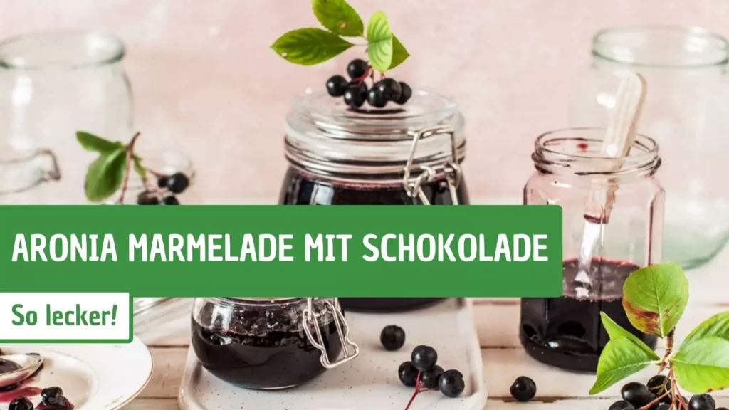 Aronia Marmelade mit Schokolade Titelbild
