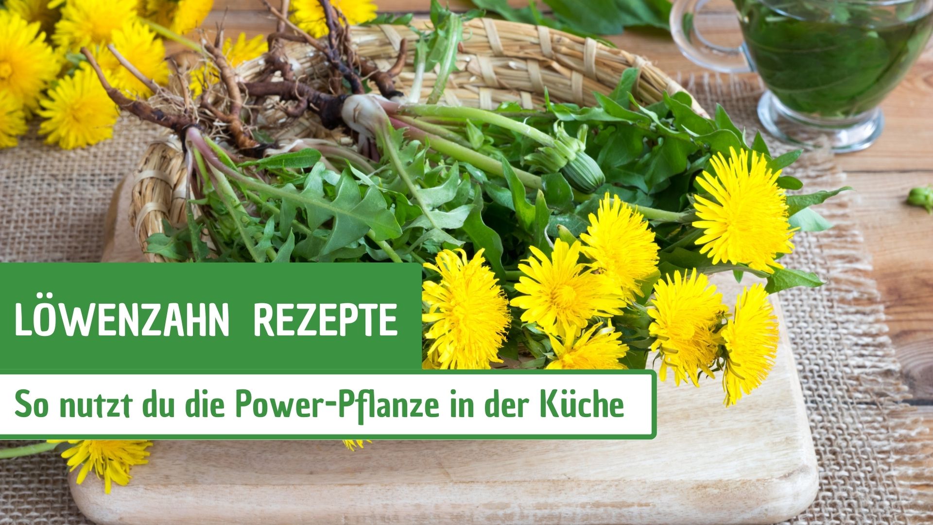 Löwenzahn Rezepte: So nutzt du die Power-Pflanze in der Küche