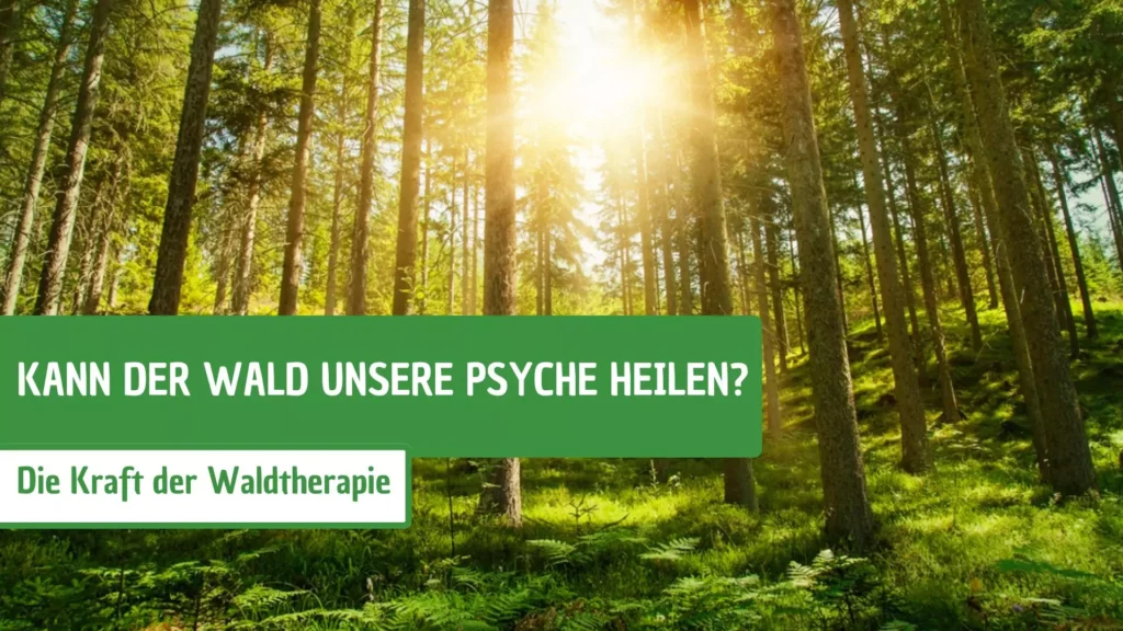 Waldtherapie