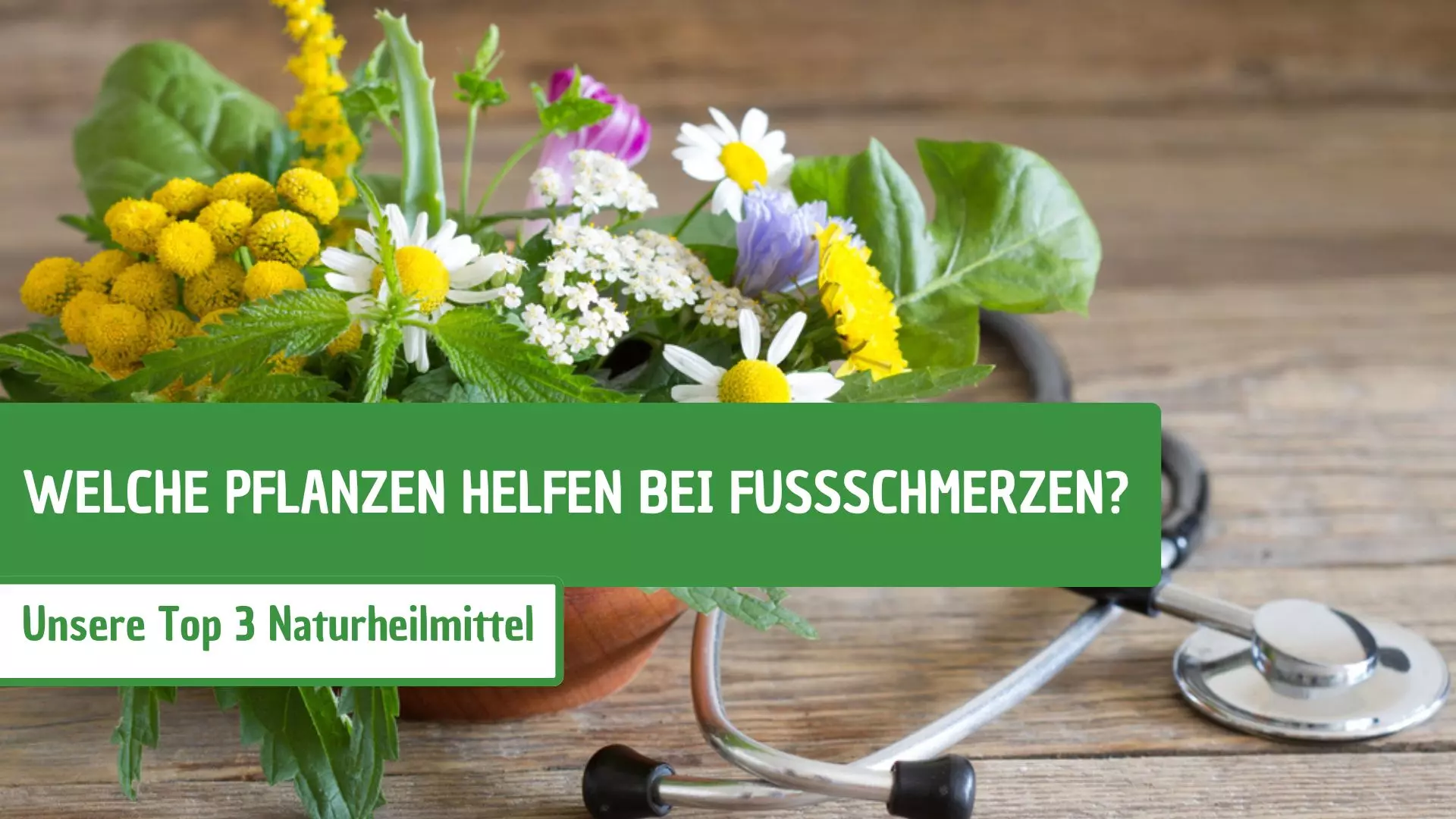 Welche Pflanzen helfen bei Fußschmerzen? Unsere Top 3 Naturheilmittel