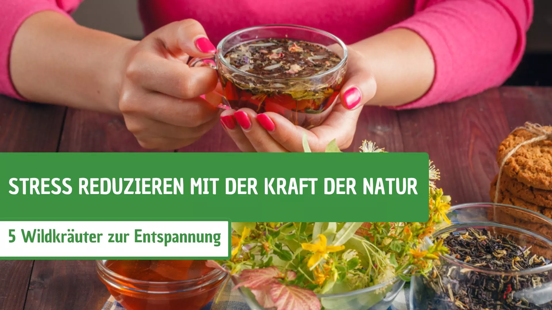 Stress reduzieren mit der Kraft der Natur: 5 Wildkräuter zur Entspannung