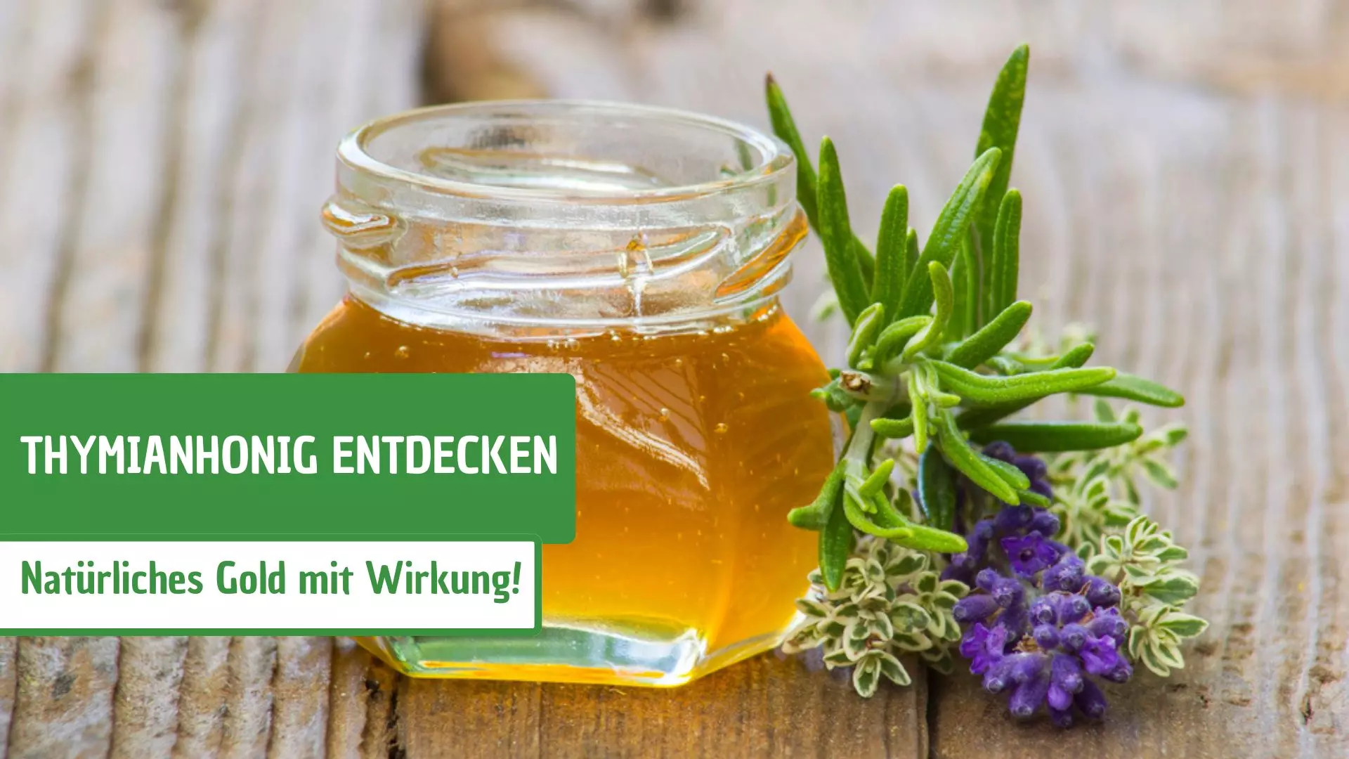 Thymianhonig entdecken: Natürliches Gold mit Wirkung! 
