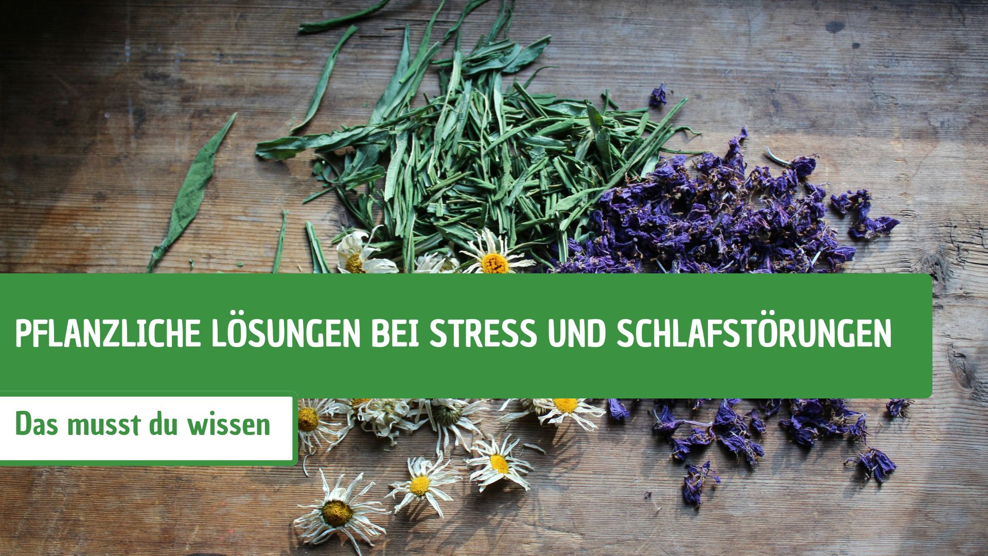 Pflanzliche Lösungen bei Stress und Schlafstörungen