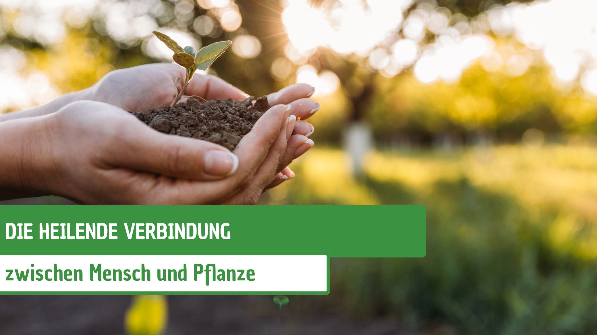 Die heilende Verbindung zwischen Mensch und Pflanze