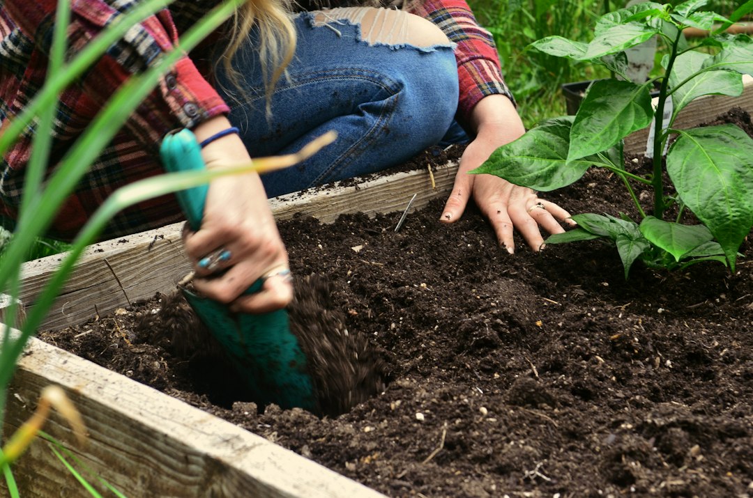 Hochbeet richtig befüllen: Schichtaufbau, Maße & Praxis-Tipps