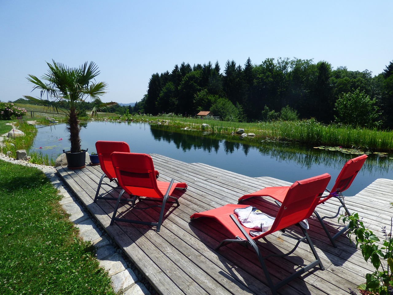 Schwimmteich im Garten: Badebereich und Bepflanzung gemeinsam planen