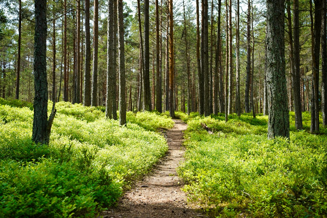 Wandern in Deutschland: Die schönsten Wanderwege von Nordsee bis Alpen